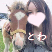 ヒメ日記 2025/07/15 23:45 投稿 とわ 千葉人妻セレブリティ（ユメオト）