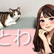 とわ 本日出勤です🥰 千葉人妻セレブリティ（ユメオト）