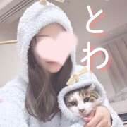 ヒメ日記 2026/02/03 08:23 投稿 とわ 千葉人妻セレブリティ（ユメオト）