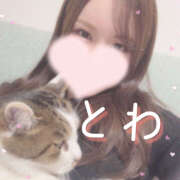 ヒメ日記 2026/02/09 12:43 投稿 とわ 千葉人妻セレブリティ（ユメオト）