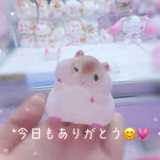 ヒメ日記 2026/03/31 21:03 投稿 とわ 千葉人妻セレブリティ（ユメオト）