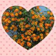 ヒメ日記 2025/06/14 08:59 投稿 えみり 人妻小旅行～神奈川県央編