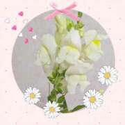 ヒメ日記 2025/08/29 15:16 投稿 えみり 人妻小旅行～神奈川県央編