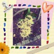 ヒメ日記 2025/10/06 13:34 投稿 えみり 人妻小旅行～神奈川県央編