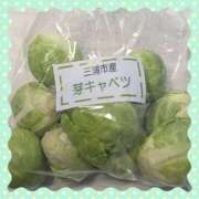 えみり こんにちは〜 人妻小旅行～神奈川県央編