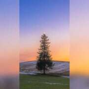 ヒメ日記 2024/12/16 22:33 投稿 みわ 完熟ばなな大宮