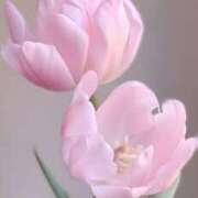 ヒメ日記 2025/01/09 21:53 投稿 みわ 完熟ばなな大宮