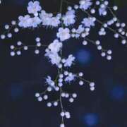 ヒメ日記 2025/02/20 11:13 投稿 みわ 完熟ばなな大宮