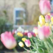 ヒメ日記 2025/02/23 11:33 投稿 みわ 完熟ばなな大宮