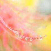 ヒメ日記 2025/02/26 11:13 投稿 みわ 完熟ばなな大宮