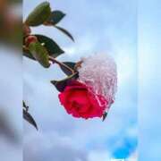 ヒメ日記 2025/03/03 14:03 投稿 みわ 完熟ばなな大宮