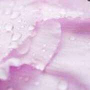 ヒメ日記 2025/03/09 12:13 投稿 みわ 完熟ばなな大宮