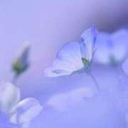 ヒメ日記 2025/03/27 11:03 投稿 みわ 完熟ばなな大宮