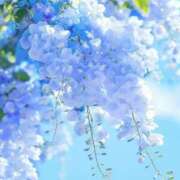 ヒメ日記 2025/03/30 11:13 投稿 みわ 完熟ばなな大宮