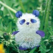 ヒメ日記 2025/04/14 23:53 投稿 みわ 完熟ばなな大宮