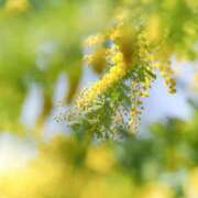 ヒメ日記 2025/04/20 11:04 投稿 みわ 完熟ばなな大宮