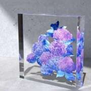 ヒメ日記 2025/05/04 00:13 投稿 みわ 完熟ばなな大宮