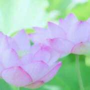 ヒメ日記 2025/07/01 00:23 投稿 みわ 完熟ばなな大宮