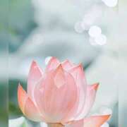 ヒメ日記 2025/08/01 18:53 投稿 みわ 完熟ばなな大宮