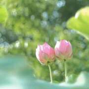 ヒメ日記 2025/09/22 00:23 投稿 みわ 完熟ばなな大宮