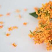 ヒメ日記 2025/10/19 11:04 投稿 みわ 完熟ばなな大宮