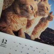 みわ 🌸あと１枚 完熟ばなな大宮