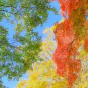 ヒメ日記 2025/12/09 15:13 投稿 みわ 完熟ばなな大宮