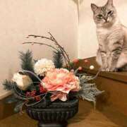 ヒメ日記 2026/01/12 17:09 投稿 みわ 完熟ばなな大宮