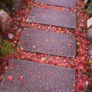 ヒメ日記 2026/01/14 20:53 投稿 みわ 完熟ばなな大宮