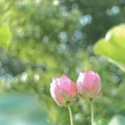 ヒメ日記 2026/02/04 14:26 投稿 みわ 完熟ばなな大宮