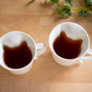 ヒメ日記 2026/02/10 23:03 投稿 みわ 完熟ばなな大宮