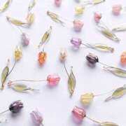 ヒメ日記 2026/02/13 20:11 投稿 みわ 完熟ばなな大宮