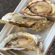 ヒメ日記 2025/08/17 19:16 投稿 みなみ キャンパスサミット　千葉店