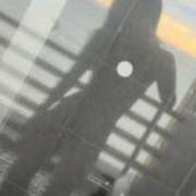 ヒメ日記 2025/11/16 09:08 投稿 みなみ キャンパスサミット　千葉店