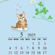 ヒメ日記 2025/04/30 13:25 投稿 青木（あおき） 熟女の風俗最終章 大宮店