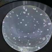 ヒメ日記 2024/12/25 15:37 投稿 あすか ごほうびSPA仙台店