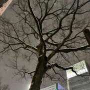 ヒメ日記 2025/02/08 09:37 投稿 あすか ごほうびSPA仙台店