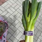 ヒメ日記 2025/06/30 17:47 投稿 あすか ごほうびSPA仙台店