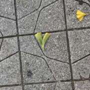 ヒメ日記 2025/11/29 09:37 投稿 あすか ごほうびSPA仙台店