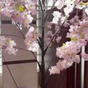 ヒメ日記 2026/04/18 19:08 投稿 あすか ごほうびSPA仙台店