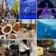 ヒメ日記 2025/12/21 11:30 投稿 すずらん 奥鉄オクテツ神奈川店（デリヘル市場グループ）