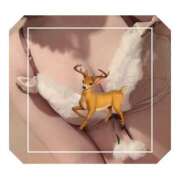 ヒメ日記 2024/12/21 10:33 投稿 アマネ ソープランドMAX‐マックス- 浅草店