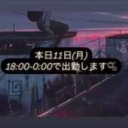 ヒメ日記 2024/11/11 12:24 投稿 なの しろわい 仙台店