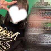 ムギ お久しぶりです? エピソード(品川)