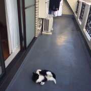 ヒメ日記 2025/03/23 11:04 投稿 本田みか 五十路マダム 仙台店