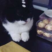 ヒメ日記 2025/03/25 08:12 投稿 本田みか 五十路マダム 仙台店