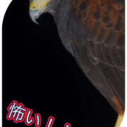 ヒメ日記 2025/07/24 22:10 投稿 本田みか 五十路マダム 仙台店