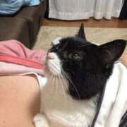 ヒメ日記 2026/02/14 08:22 投稿 本田みか 五十路マダム 仙台店