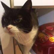 本田みか 週末！！ 五十路マダム 仙台店