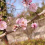 ヒメ日記 2026/03/28 00:14 投稿 りんご CLUB DEEP